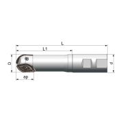 RB02.25W25.025.M Фреза концевая со сменными твердосплавными пластинами